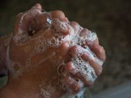 Image de la catégorie Savons mains liquides