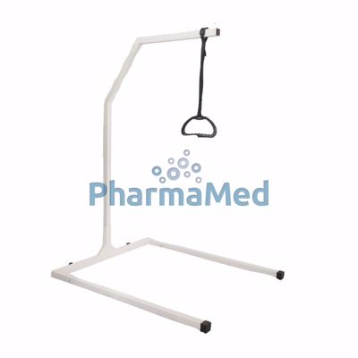 Image sur Perroquet sur pied 136 kg  - 1pc
