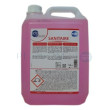 ECHOCLEAN Nettoyant détartrant sanitaire - 5L