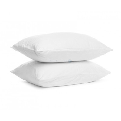 EPHAMED anti-huisstofmijt kussen 60x60cm 500g